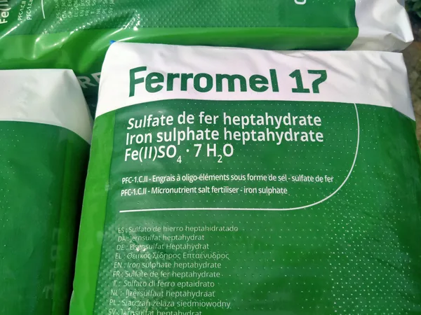 Foto 3